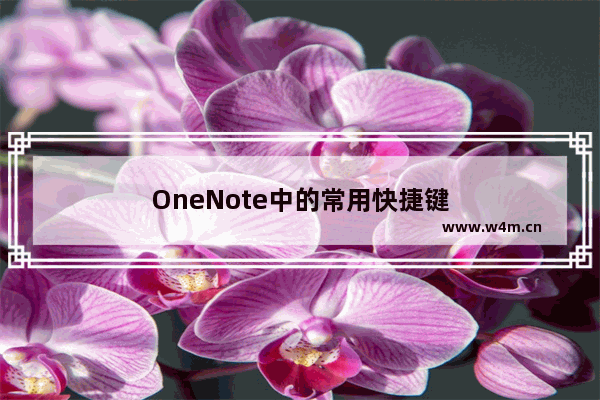 OneNote中的常用快捷键