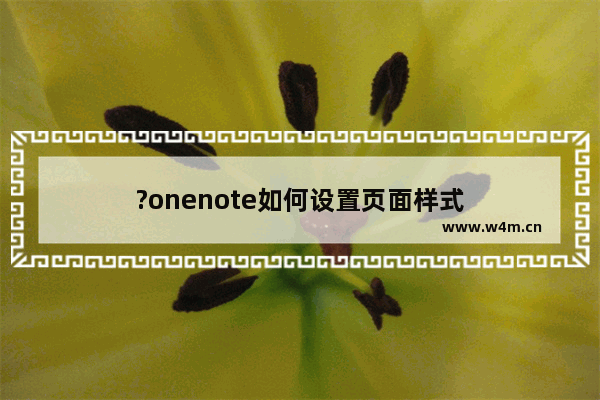 ?onenote如何设置页面样式