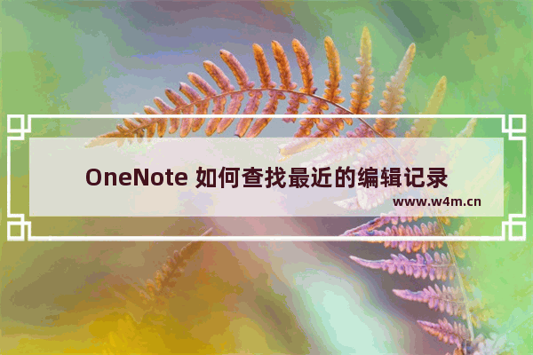 OneNote 如何查找最近的编辑记录