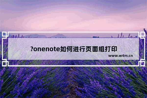 ?onenote如何进行页面组打印