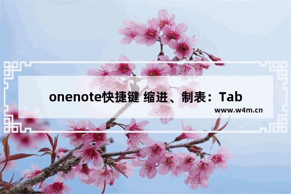 onenote快捷键 缩进、制表：Tab 展示大纲：Alt+Shift+1（0～9）