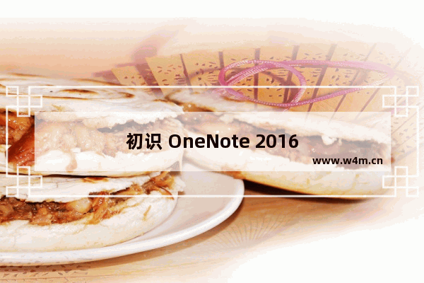 初识 OneNote 2016