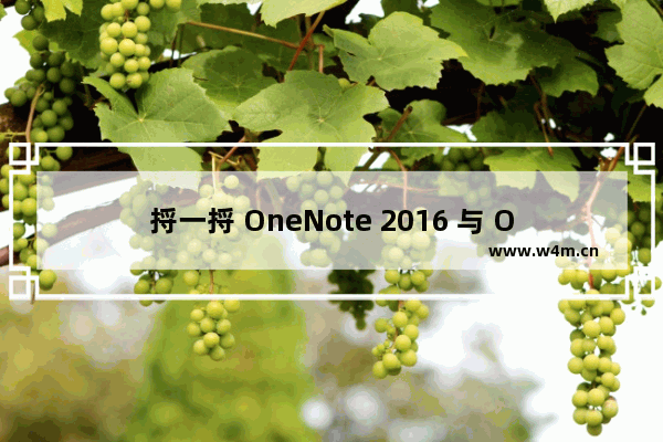 捋一捋 OneNote 2016 与 Office 365 的关系