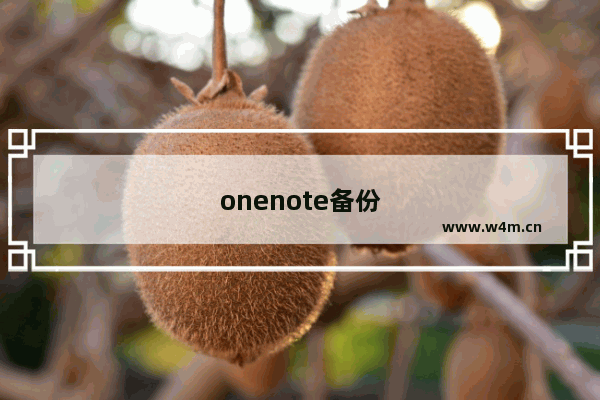 onenote备份