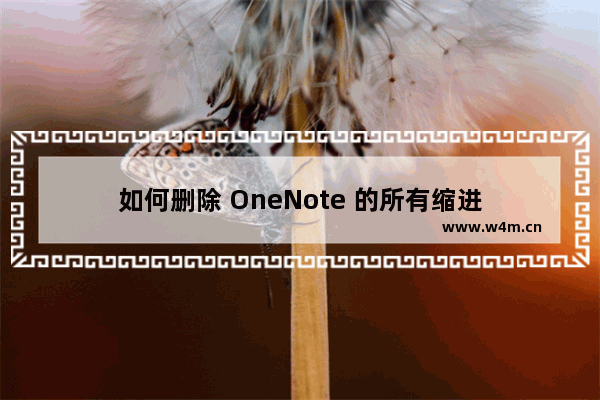 如何删除 OneNote 的所有缩进