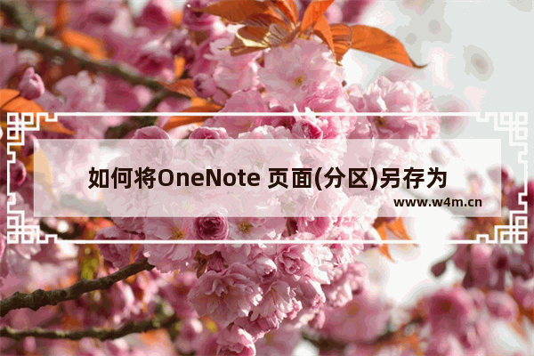 如何将OneNote 页面(分区)另存为 HTML 文件