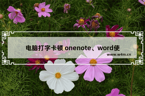 电脑打字卡顿 onenote、word使用时打字卡顿一下后才显示的解决方案