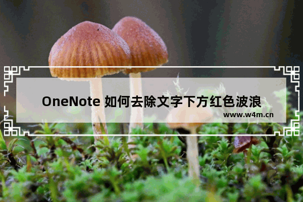 OneNote 如何去除文字下方红色波浪