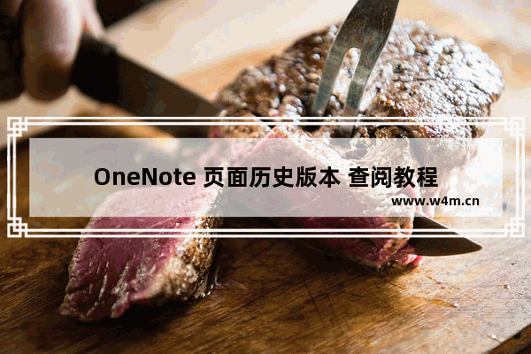 OneNote 页面历史版本 查阅教程