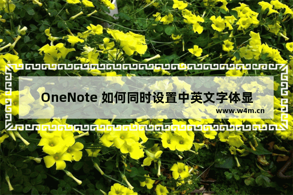 OneNote 如何同时设置中英文字体显示 雅黑+Consolas字体