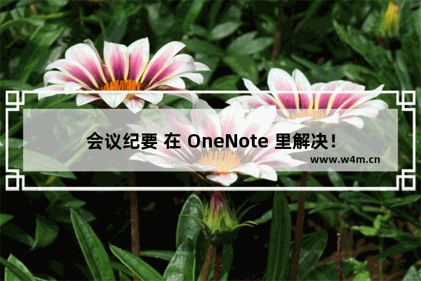 会议纪要 在 OneNote 里解决！