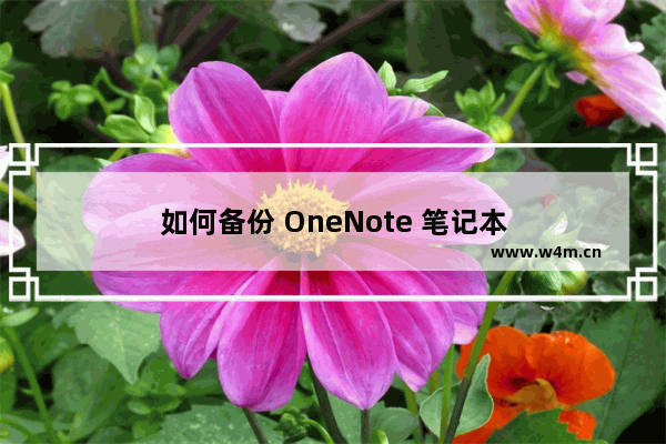 如何备份 OneNote 笔记本