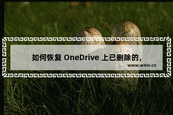 如何恢复 OneDrive 上已删除的，但在本地 OneNote 还处于打开状态的已出现同步错误的笔记本？