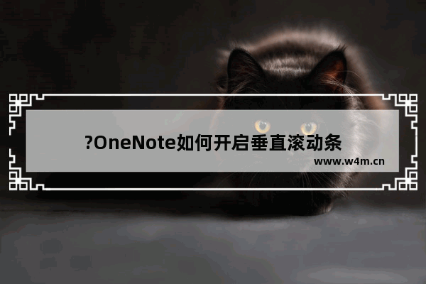 ?OneNote如何开启垂直滚动条