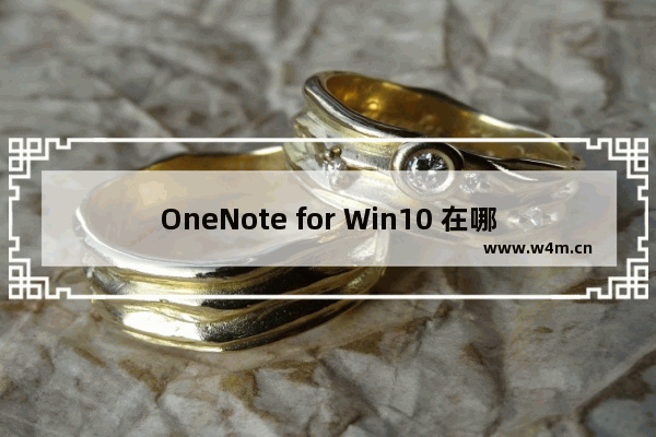 OneNote for Win10 在哪里修改更换账户的头像？