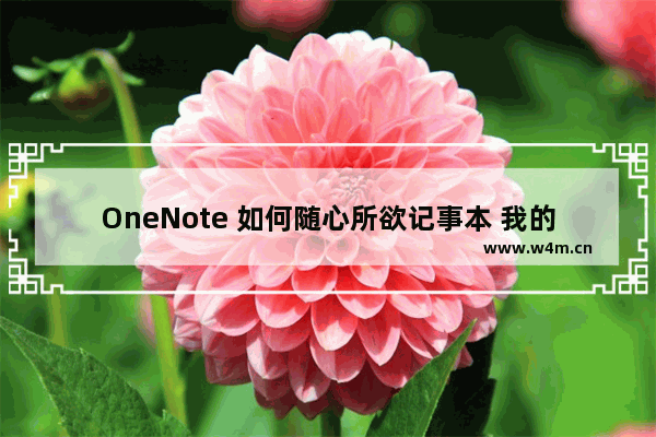 OneNote 如何随心所欲记事本 我的OneNote使用心得