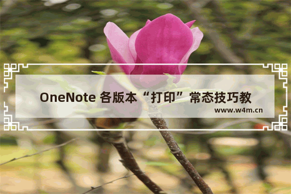 OneNote 各版本“打印”常态技巧教程