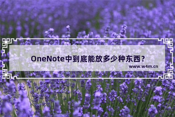 OneNote中到底能放多少种东西？