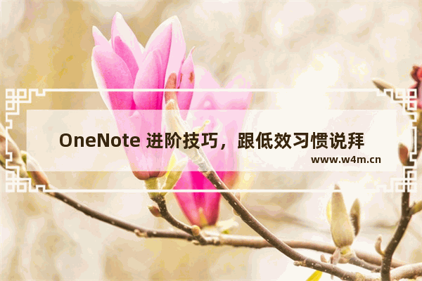 OneNote 进阶技巧，跟低效习惯说拜拜