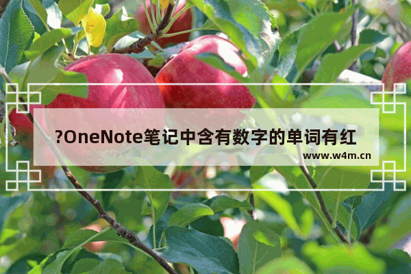 ?OneNote笔记中含有数字的单词有红色波浪线怎么办