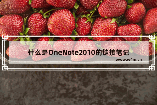 什么是OneNote2010的链接笔记