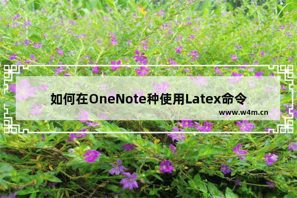 如何在OneNote种使用Latex命令敲出数学公式