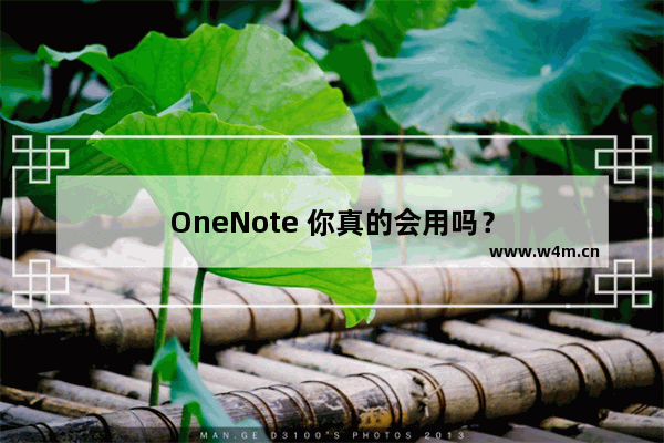 OneNote 你真的会用吗？