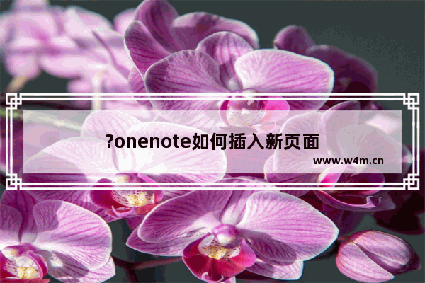 ?onenote如何插入新页面