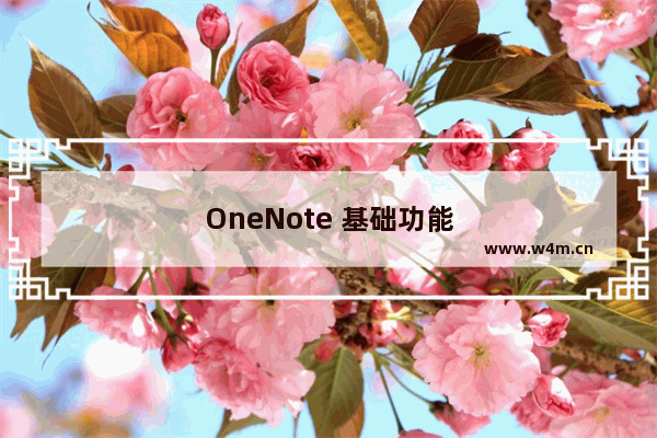 OneNote 基础功能