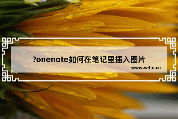 ?onenote如何在笔记里插入图片