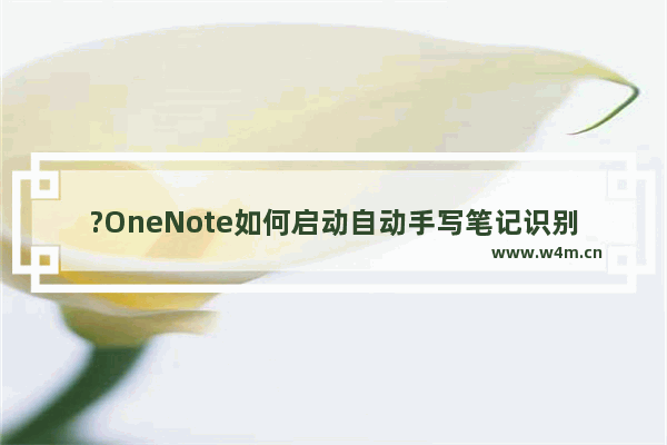 ?OneNote如何启动自动手写笔记识别