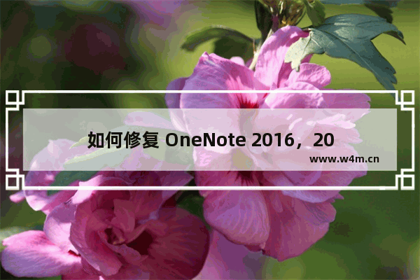 如何修复 OneNote 2016，2021 不能备份，不自动备份问题？