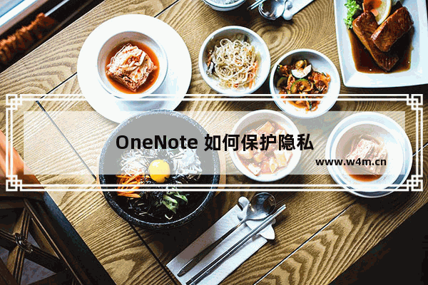 OneNote 如何保护隐私