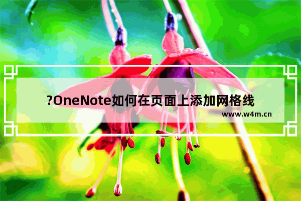 ?OneNote如何在页面上添加网格线