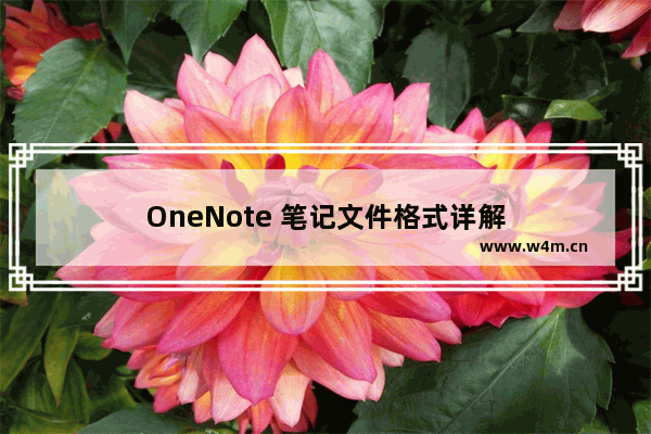 OneNote 笔记文件格式详解