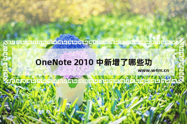 OneNote 2010 中新增了哪些功能？