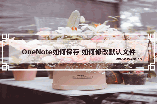 OneNote如何保存 如何修改默认文件存储位置？