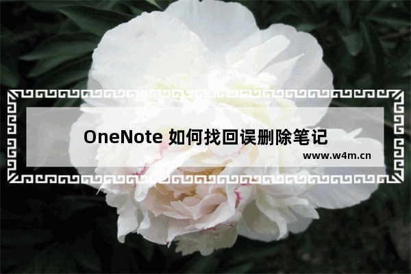 OneNote 如何找回误删除笔记