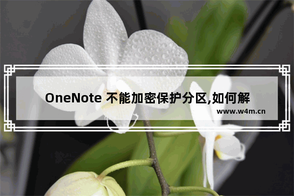 OneNote 不能加密保护分区,如何解决？