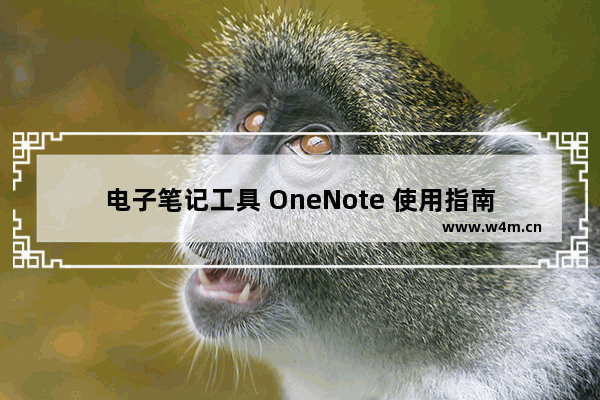 电子笔记工具 OneNote 使用指南