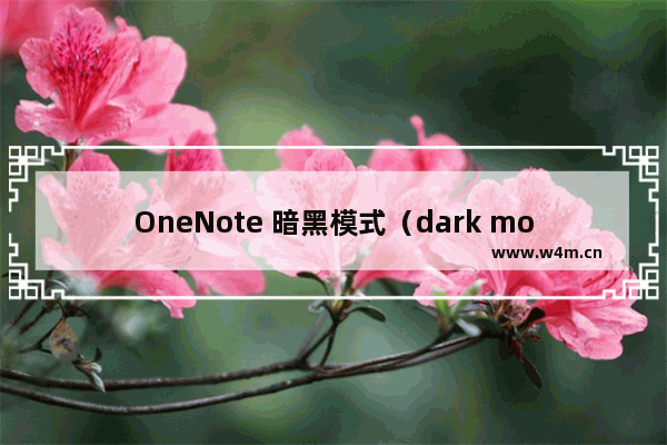 OneNote 暗黑模式（dark mode）初体验