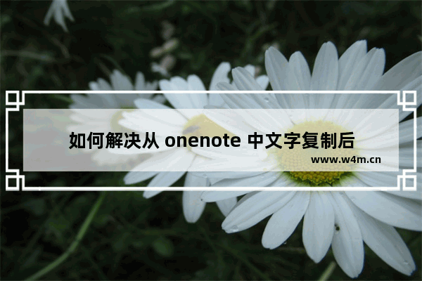 如何解决从 onenote 中文字复制后再粘贴到QQ变成图片格式