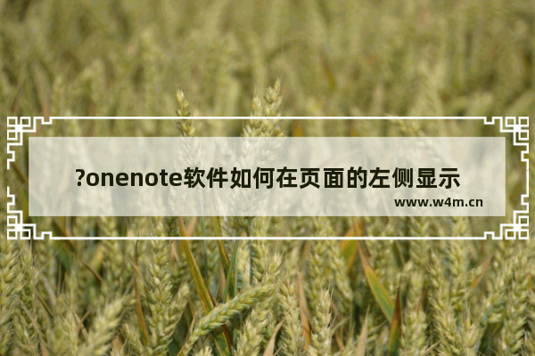 ?onenote软件如何在页面的左侧显示页选项卡