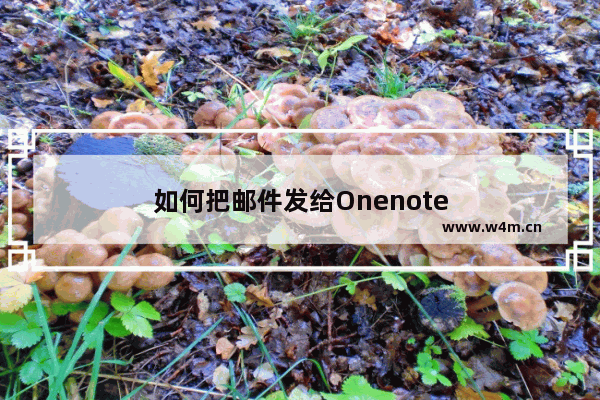 如何把邮件发给Onenote