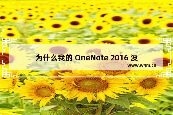 为什么我的 OneNote 2016 没有导出 Word 文档 Docx 选项？