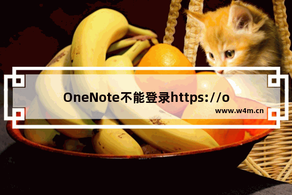 OneNote不能登录https://onedrive.live.com的问题