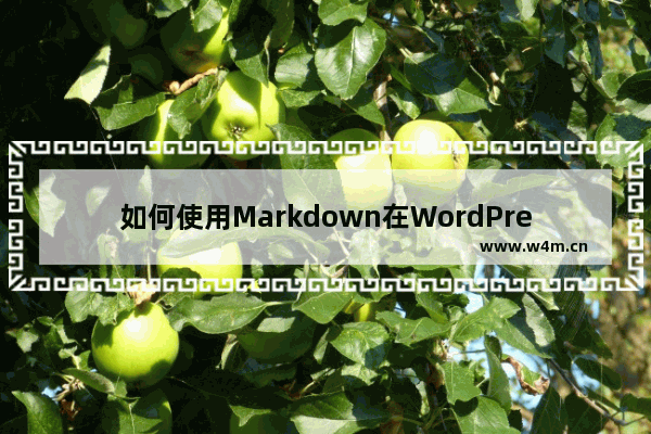 如何使用Markdown在WordPress和OneNote中记笔记