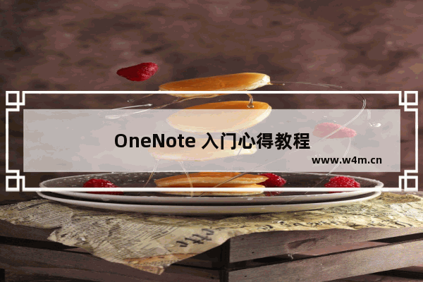 OneNote 入门心得教程