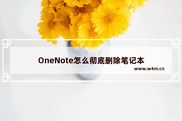 OneNote怎么彻底删除笔记本