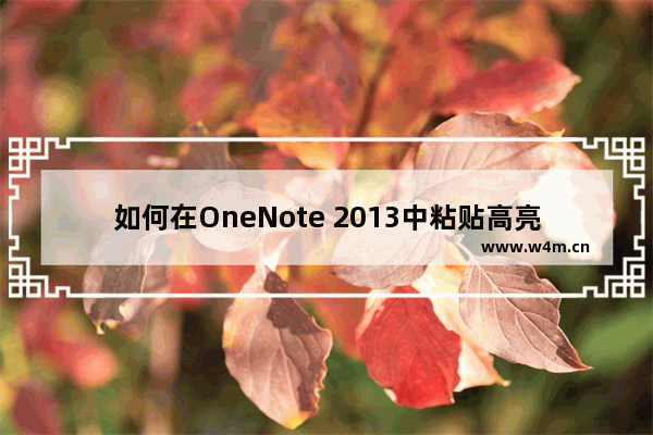 如何在OneNote 2013中粘贴高亮的代码